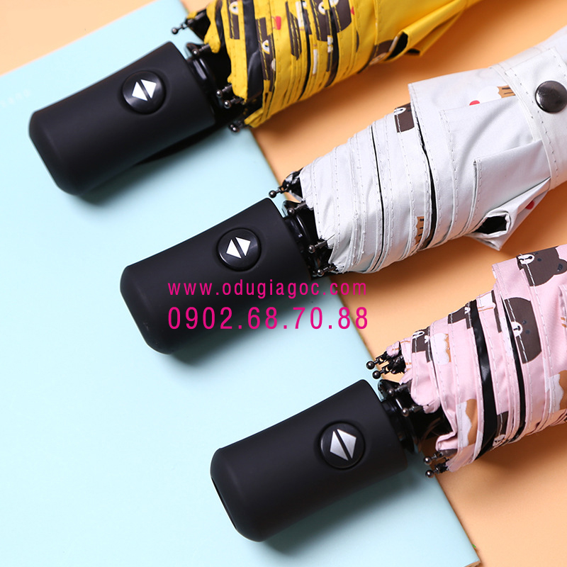 du_tu_dong_2_chieu_3