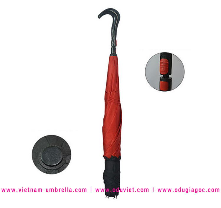 o_du_nguoc_Viet_nam